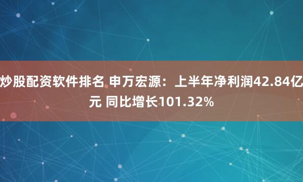 炒股配资软件排名 申万宏源：上半年净利润42.84亿元 同比增长101.32%