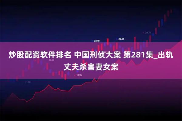 炒股配资软件排名 中国刑侦大案 第281集_出轨丈夫杀害妻女案