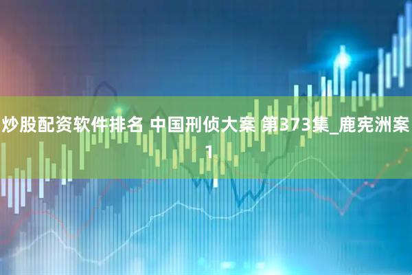 炒股配资软件排名 中国刑侦大案 第373集_鹿宪洲案 1