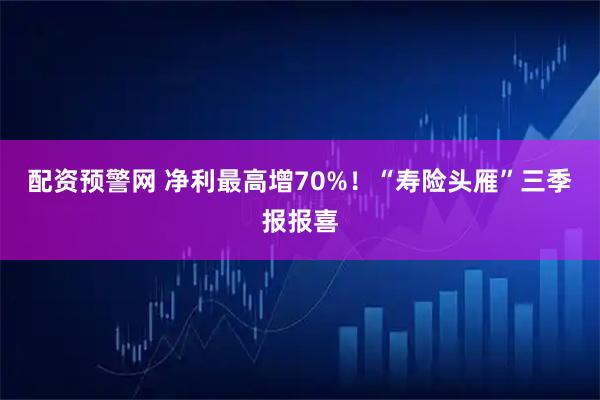 配资预警网 净利最高增70%！“寿险头雁”三季报报喜
