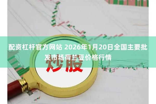 配资杠杆官方网站 2026年1月20日全国主要批发市场荷兰豆价格行情