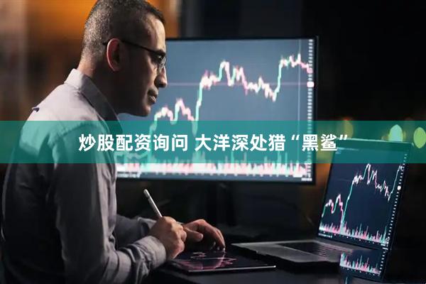 炒股配资询问 大洋深处猎“黑鲨”