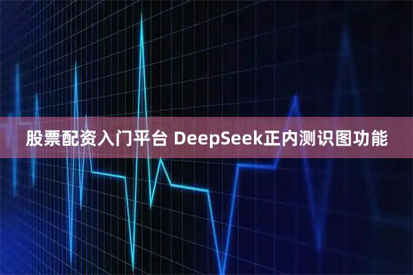 股票配资入门平台 DeepSeek正内测识图功能